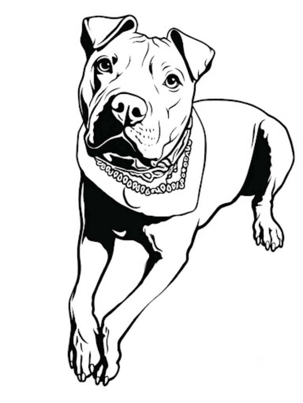 Jennifer's Pick Of Tazz